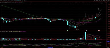 弘业股份创投业务连板爆炒背后 市场狂热与价值背离